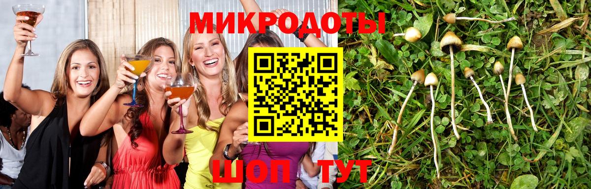 Галлюциногенные грибы Cubensis Ставрополь
