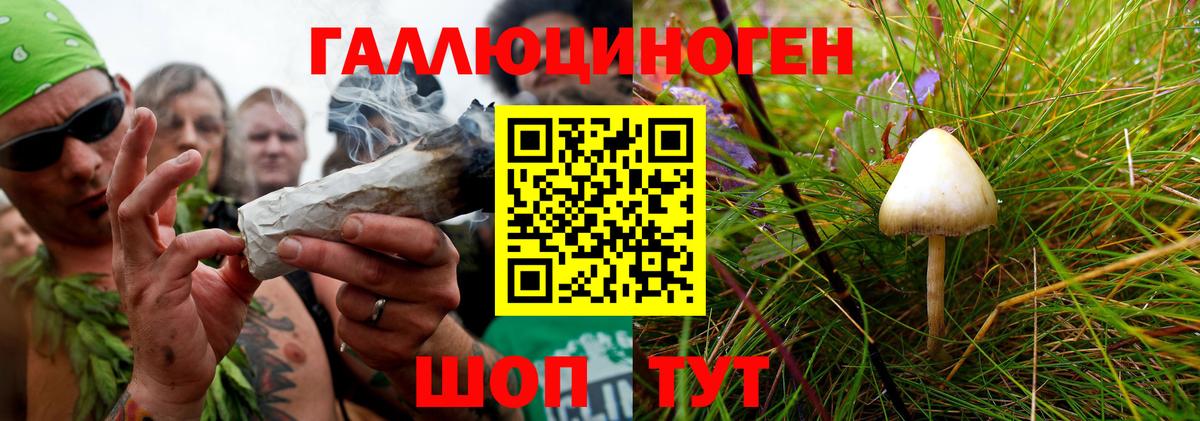 Ставрополь  Галлюциногенные грибы MAGIC MUSHROOMS  Вход с VPN 
